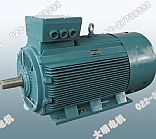 Y400系列(IP55)中型低压