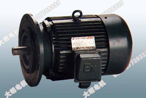 YA增安型配减电机