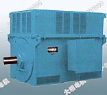 中型高压三相异步电动机