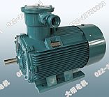 YB2系列 隔爆型三相异步